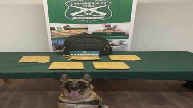 Photo of En menos de una semana Carabineros del OS7 intercepta casi 200 mil dosis de drogas