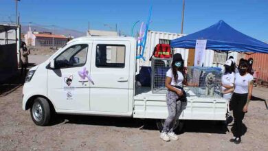 Photo of Minera El Abra dona vehículo para apoyar el rescate de perros callejeros en Calama