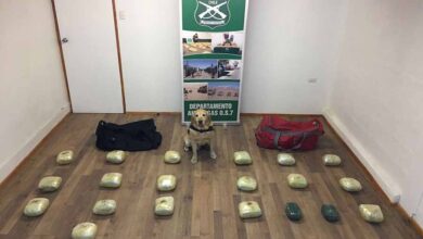 Photo of Personal del OS 7 apoyados por su ejemplar canino “Einar” logran sacar de circulación más de 45.000 dosis de droga