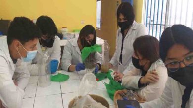 Photo of Educadores comienzan a aplicar herramientas adquiridas durante Campamento de Ciencias de Explora Antofagasta