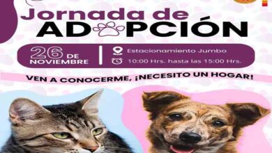 Photo of Jornada de adopción de mascotas se realizará este 26 de noviembre de 2022