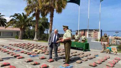 Photo of Fiscalía de Calama formaliza a 13 sujetos con funciones de “burreros”  por tráfico de más de 300 kilos de marihuana y quedan en prisión preventiva