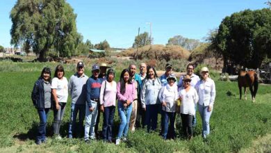 Photo of Beneficiarios de la Corporación Asociación de Agricultores de Calama culminan con éxito programas comunitarios
