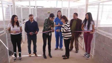 Photo of Fundación Animalista Anastasia inaugura nueva infraestructura