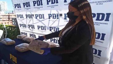 Photo of PDI de Calama incauta más de 158 kilos de droga en la Operación «Topater»