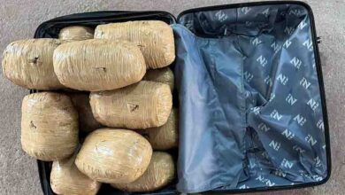 Photo of Dos detenidos y más de 17 kilos de drogas en dos días de fiscalización de narcoequipajes en terminales de buses