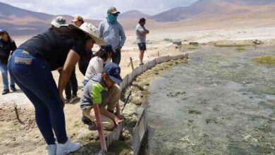 Photo of Comunidad de Ascotán conoce avances de trabajo de Minera El Abra en el Salar de Ascotán