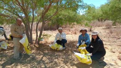 Photo of Lomas Bayas y comunidad cosechan los frutos del algarrobo