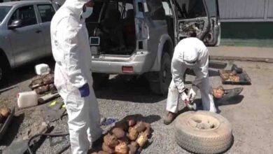 Photo of Ocultaron droga en la estructura de un vehículo y lo enviaron a Santiago en un camión de encomiendas